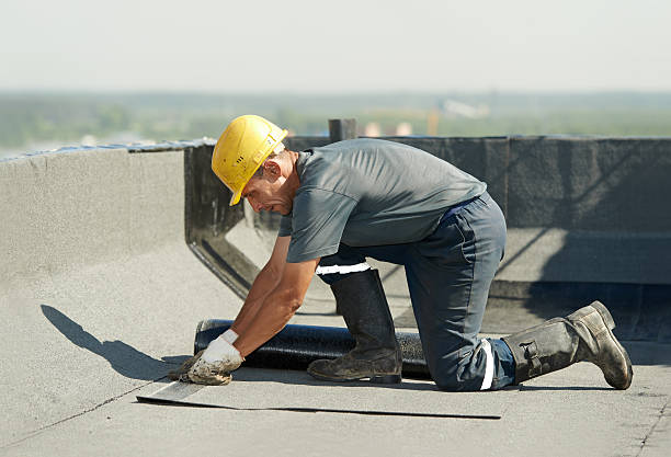 Best Home Insulation Services  in Lake Stevens, WA